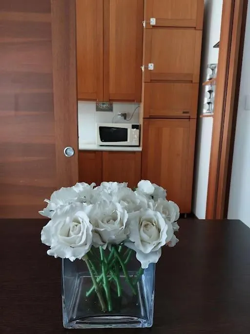 V&G Apartment Vicenza Italy
